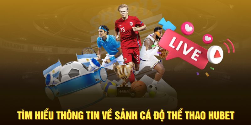 tim-hieu-thong-tin-ve-sanh-ca-do-the-thao-hubet-